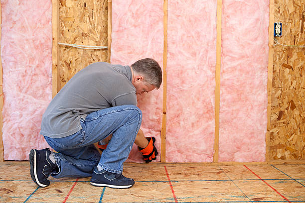 Types of Insulation We Offer in Town And Country, MO